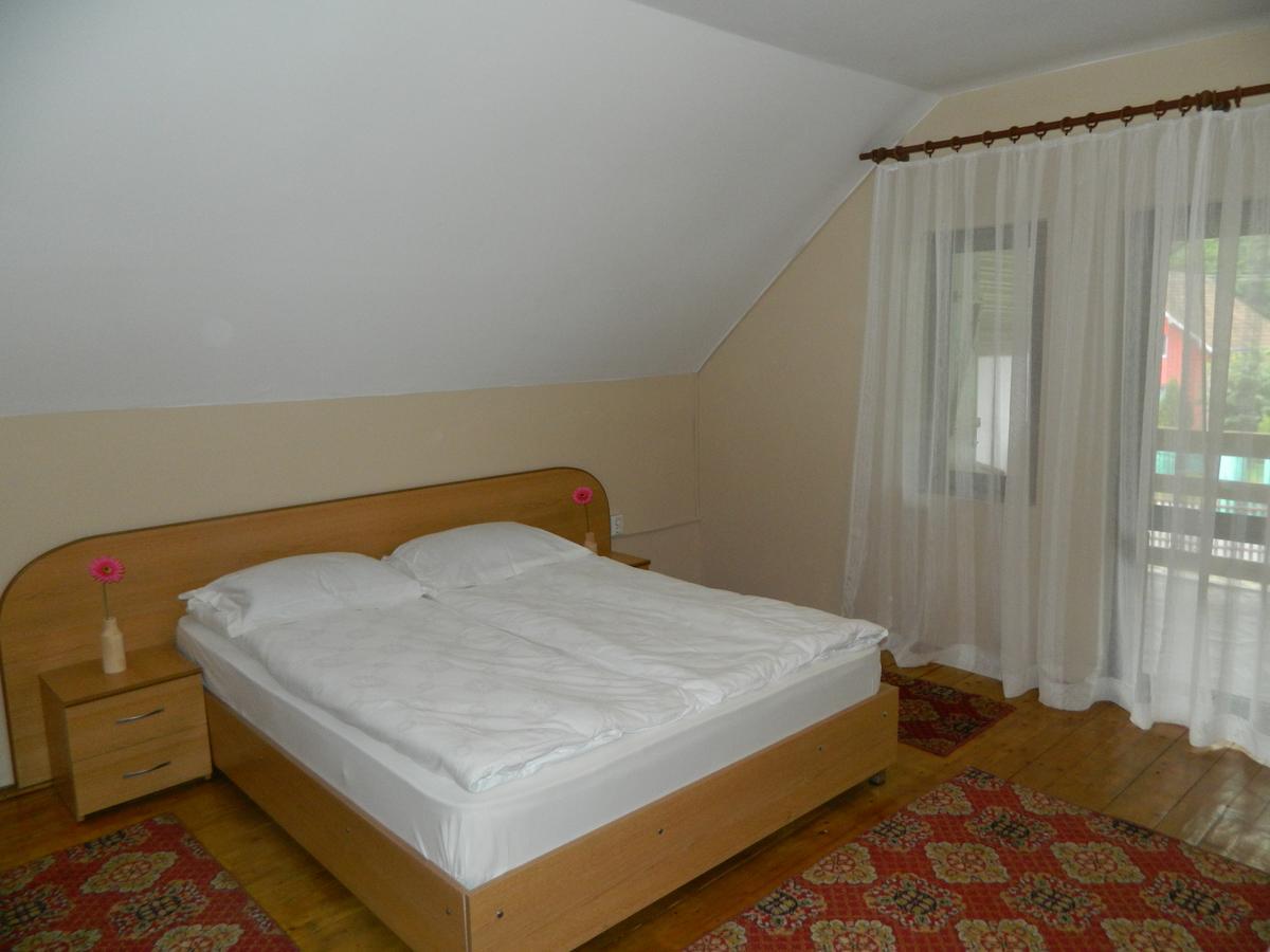 Cabana Florea Villa Rîu de Mori Exteriör bild